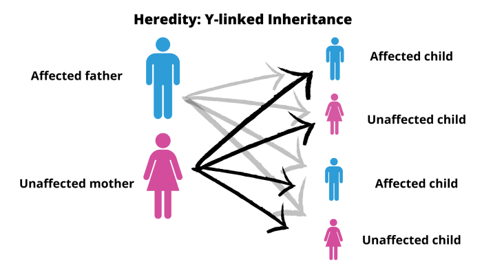 Dna the molecule of heredity worksheet