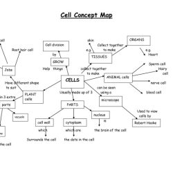 Eukaryotic cell cycle worksheet answer key