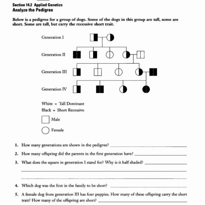 Dna the molecule of heredity worksheet