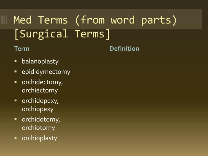 Translate the medical term prostatolith