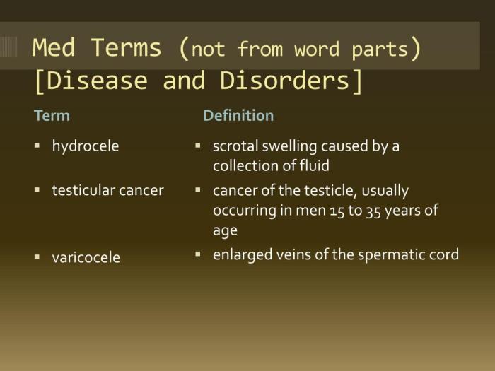 Translate the medical term prostatolith